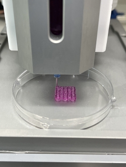 [KIMM Press Release] 3D bioprinting technology to be used for removing cancer cells