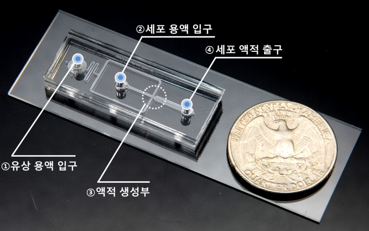 3차원 종양의 대량 생산으로 항암제 개발 청신호