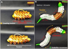[KIMM Press Release] KIMM Develops a Flexible, Stretchable Battery Capable of Moving Smoothly Like Snake Scales