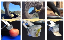 [KIMM Press Release]  KIMM Develops the World’s First Elephant Trunk-mimetic Robot Hand, Capable of Gripping Even Fine Needles