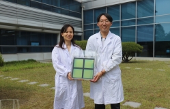 Opening the Door to Mass Production of Green Hydrogen Using Natural Sunlight!