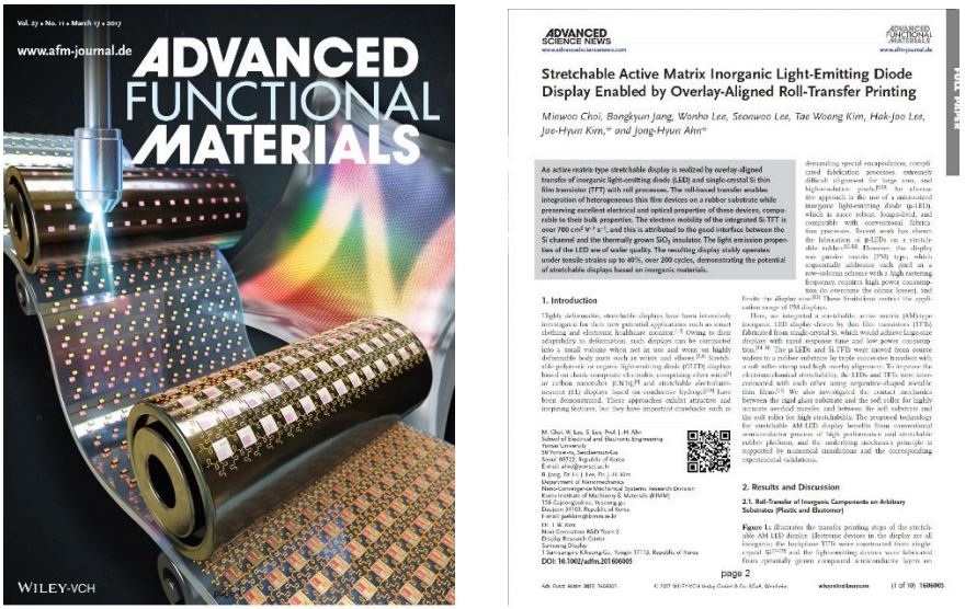 Back cover paper published in Advanced Functional Materials, March 2017 (cover and paper image) 