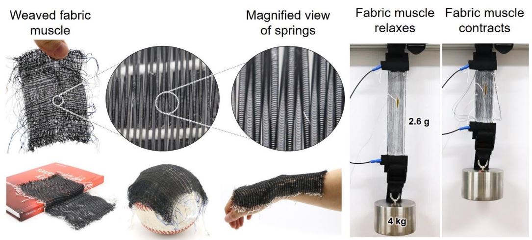 - Attachment 1: Fabric muscle weaved from thin string-like shape-memory-alloy springs (photo) 