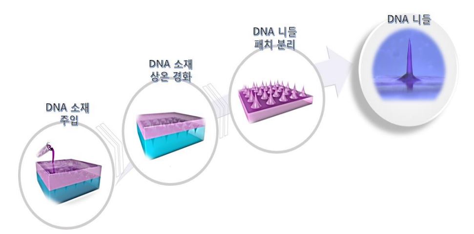 DNA소재주입, DNA소재 상온경화, DNA니들 패치 분리, DNA니들