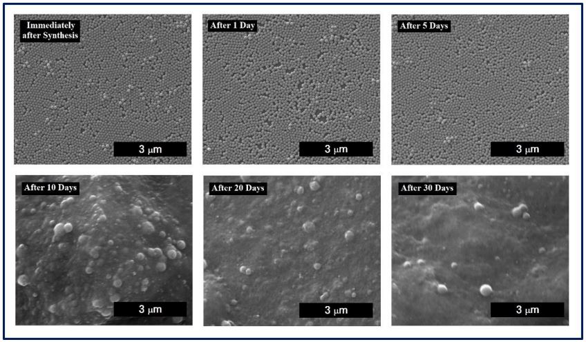 Biodegradability of Chitosan Nanoparticles According to Time (Photo) 